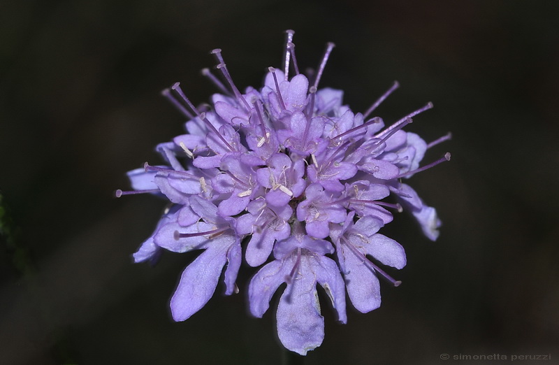 Aria di primavera...